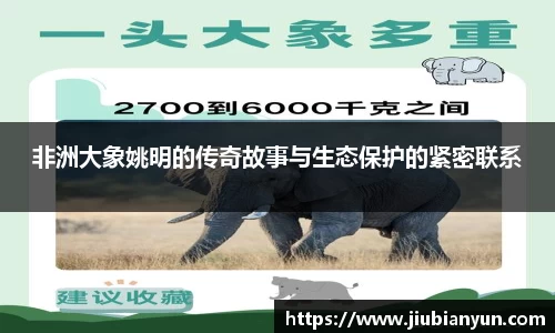 非洲大象姚明的传奇故事与生态保护的紧密联系