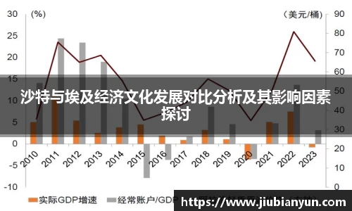 沙特与埃及经济文化发展对比分析及其影响因素探讨